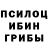Галлюциногенные грибы мицелий RNDM Creations