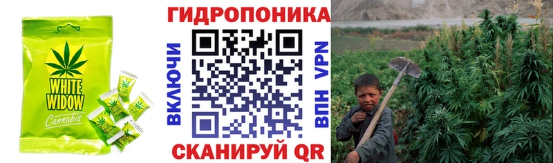 Купить  Камышлов  Еда ТГК конопля 