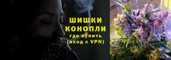 крисы Заводоуковск