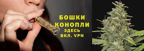крисы Заводоуковск