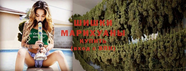 крисы Заводоуковск